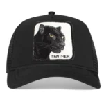 The Panther Goorin Bros hat